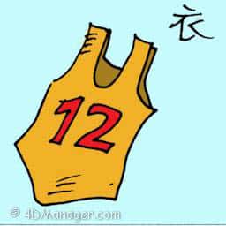 衣 singlet
