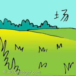 场 green field