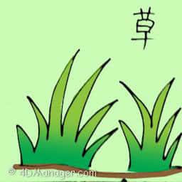 草 green grass