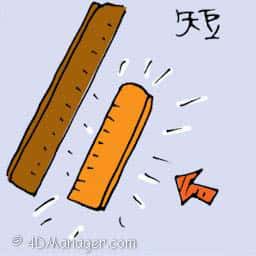 短 short 
