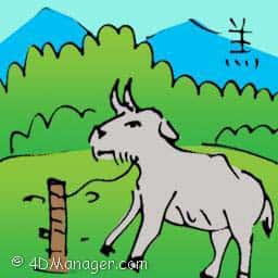 羔 lamb