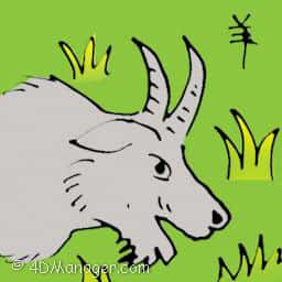 羊 goat