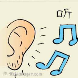 听 hearing