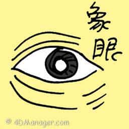 象眼 elephant eyes