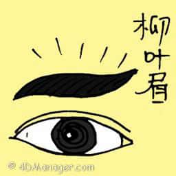 柳叶眉 willow eyebrow