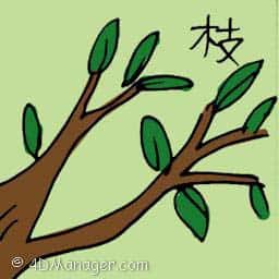 枝 tree branches