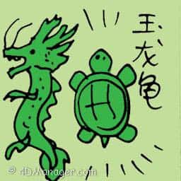 玉龙龟 jade dragon turtle
