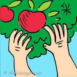 采 picking apple