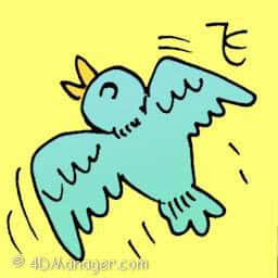 飞 bird flying