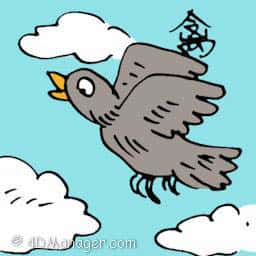 禽 fowl
