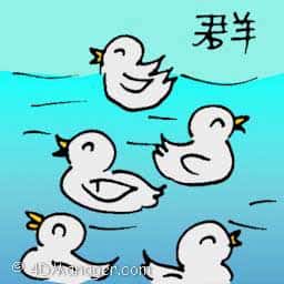 群 group of ducklings