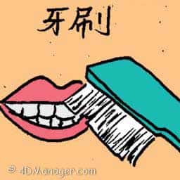 牙刷 tooth brush