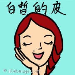 白皙的皮 fair skin