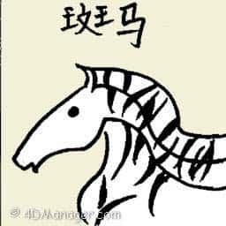 斑马 zebra