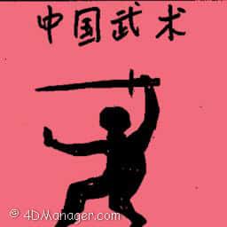中国武术 chinese wushu
