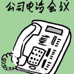 公司电话会议 teleconference