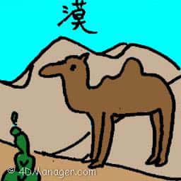 漠 desert