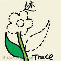跡 trace art