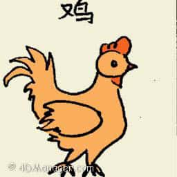 鸡 chicken