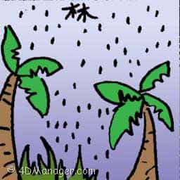 林 rain forest