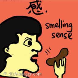 慼 senses