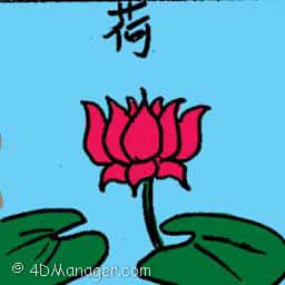 荷 lotus