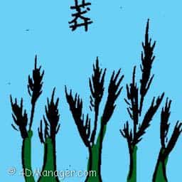 莽 rank grass