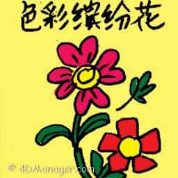 色彩缤纷花 colourful flower