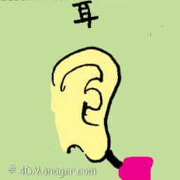 耳 ear