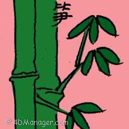 笋 bamboo shoot
