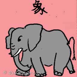 象 elephant