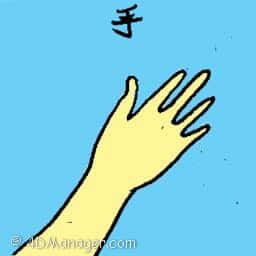 手 hand