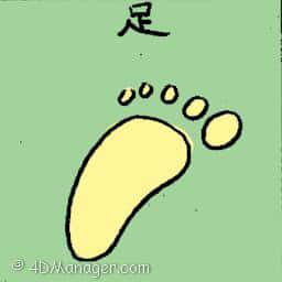 足 foot