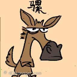 骡 donkey