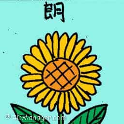 朗 bright