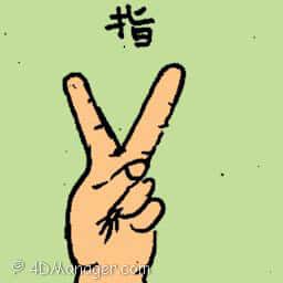指 fingers