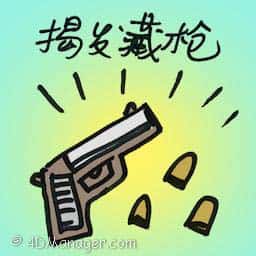 揭发藏枪 discover pistol