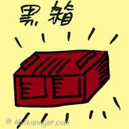 黑箱 black box