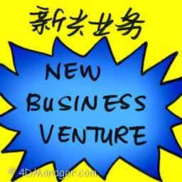 新兴业务 new business venture