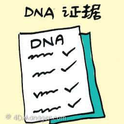 DNA证据 dna evidence