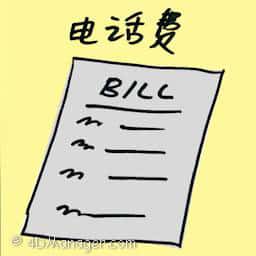 电话费 telephone bills