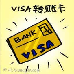 VISA转账卡 visa debit card
