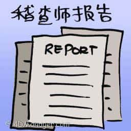 稽查司报告 auditor general report