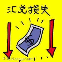 汇兑损失 foreign exchange losses