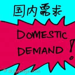 国内需求 domestic demand