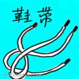 鞋带 shoelaces