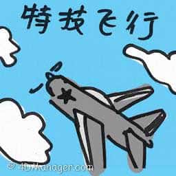 特技飞行 aerobatic manoeuvre