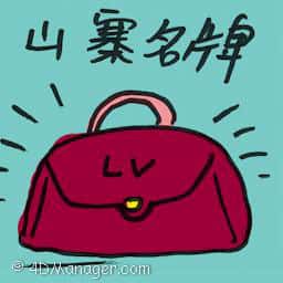 山寨名牌 knockoff