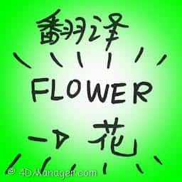 翻译 translation