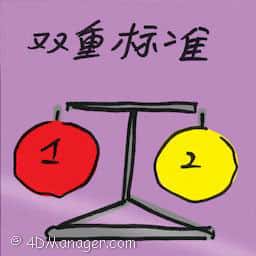 双重标准 double standard